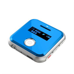 環(huán)格H R300 錄音筆 MP3播放器 專業(yè)錄音 運動MP3音樂播放器 藍(lán)色錄音筆產(chǎn)品圖片1