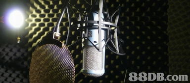 cd的搜尋結(jié)果 音樂 p1